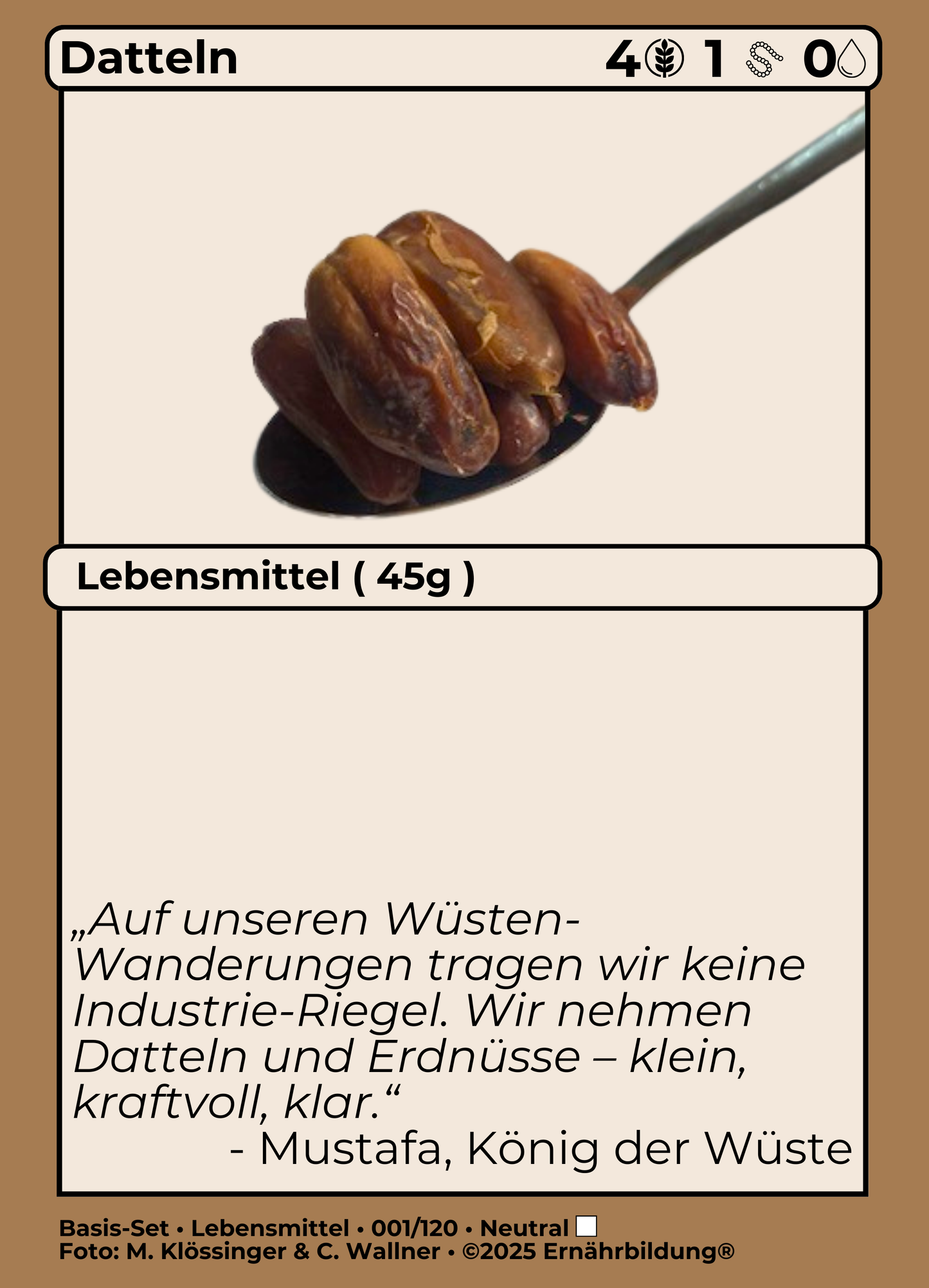NÄHRSTOFFE® Bildungsspiel für familiäre Ernährkompetenz, Ernährmanagement, Gesundheitsaufbau - spielerische Lernmöglichkeit (Vorverkauf)